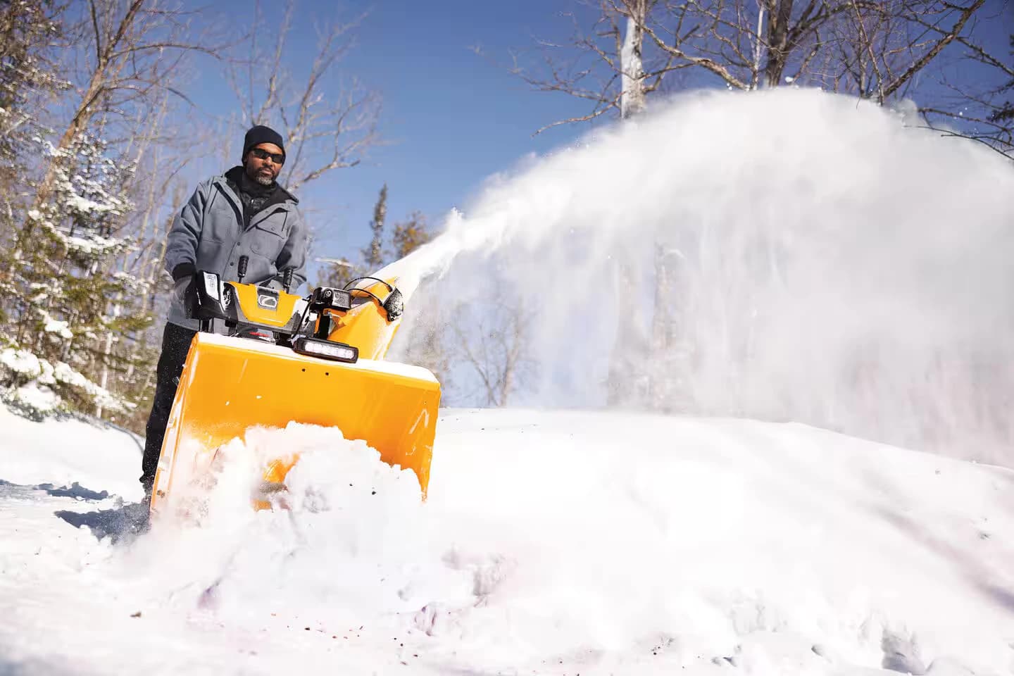 Snow Removal Services